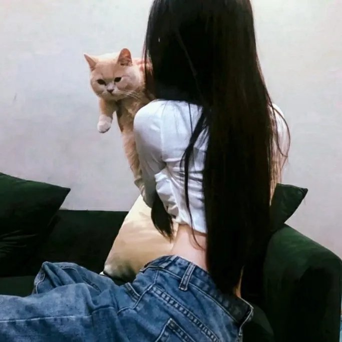模犯生